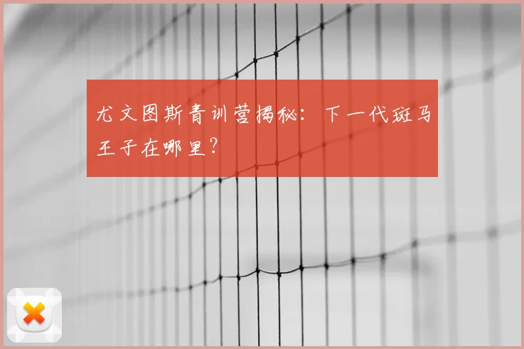 尤文图斯青训营揭秘:下一代斑马王子在哪里?